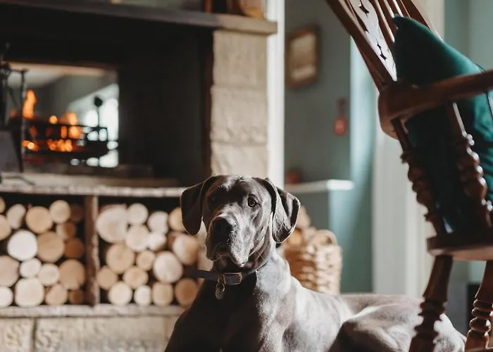 The Crown מלון 4*