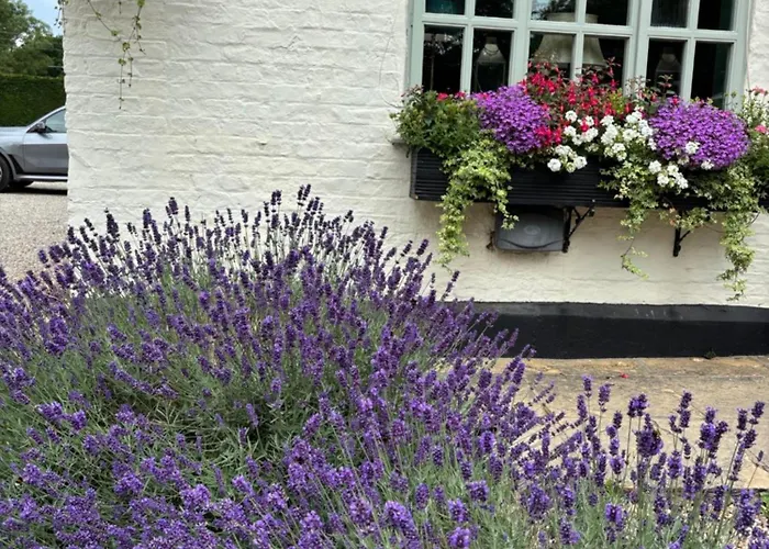 The Crown מלון Roecliffe