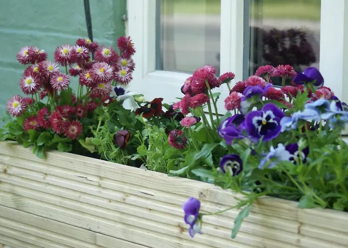 The Crown מלון 4*